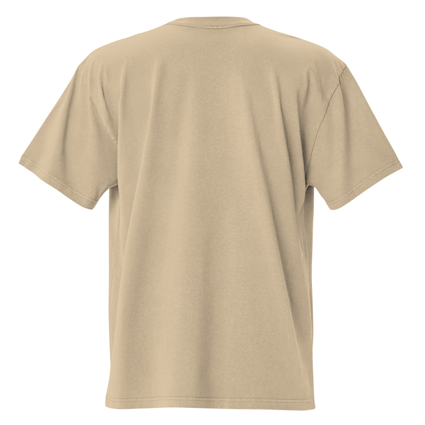 Psalm 91 T-Shirt - 'He Who Dwells In The Secret Place' - Bible Verse T-Shirt for Protection - Oversize T-shirt